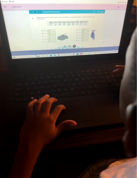 Picture Example of Kid Using Learnigo on Laptop